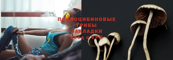 спиды Сясьстрой