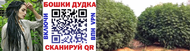 Бошки Шишки ГИДРОПОН  Купить  Гаджиево 